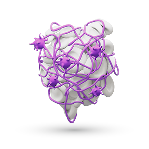 Kardiovaskulární onemocnění
